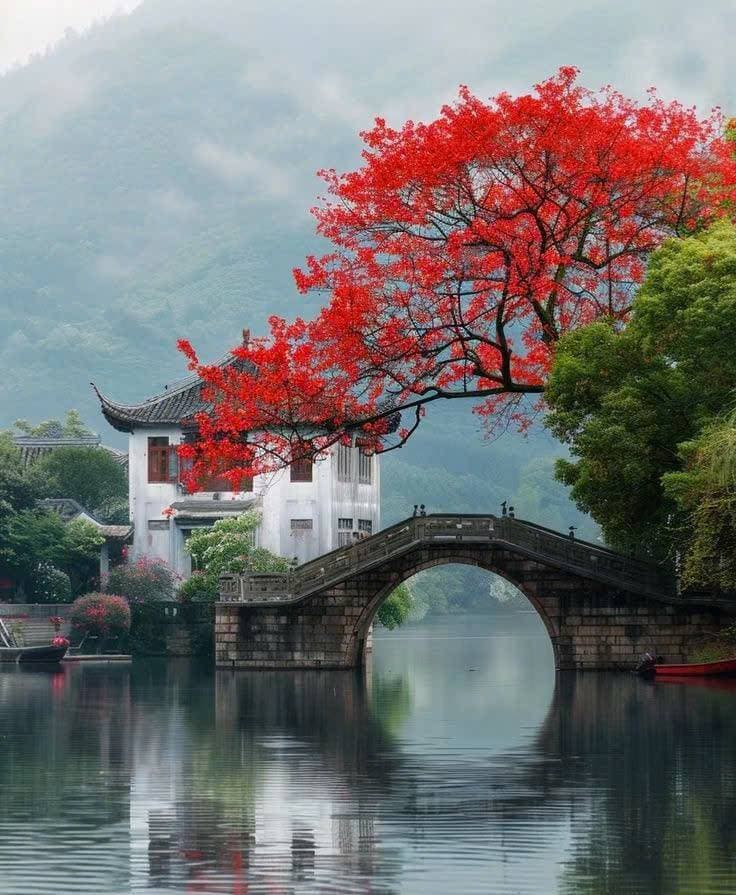 Truyện Trong ngày siêu bão, mẹ tôi cướp nhà cho em trai