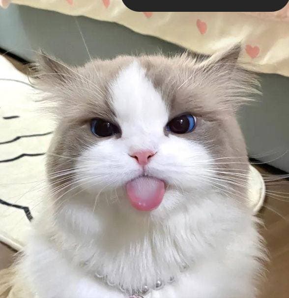 Truyện Vô tình