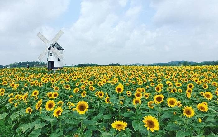 Truyện Hà Thanh Hải Yến(kết có hậu)