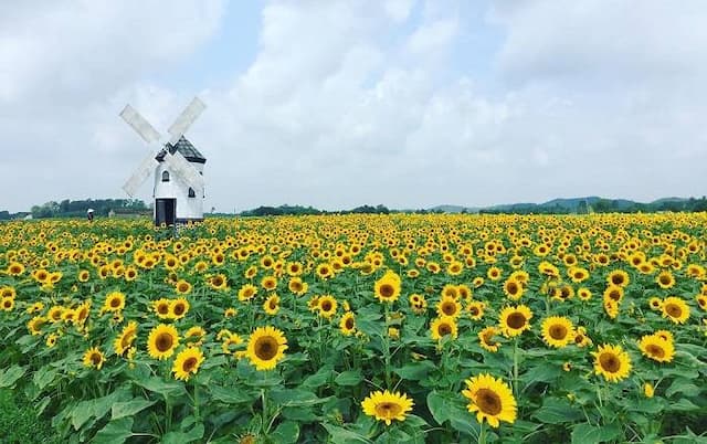 Truyện Hà Thanh Hải Yến(kết có hậu)